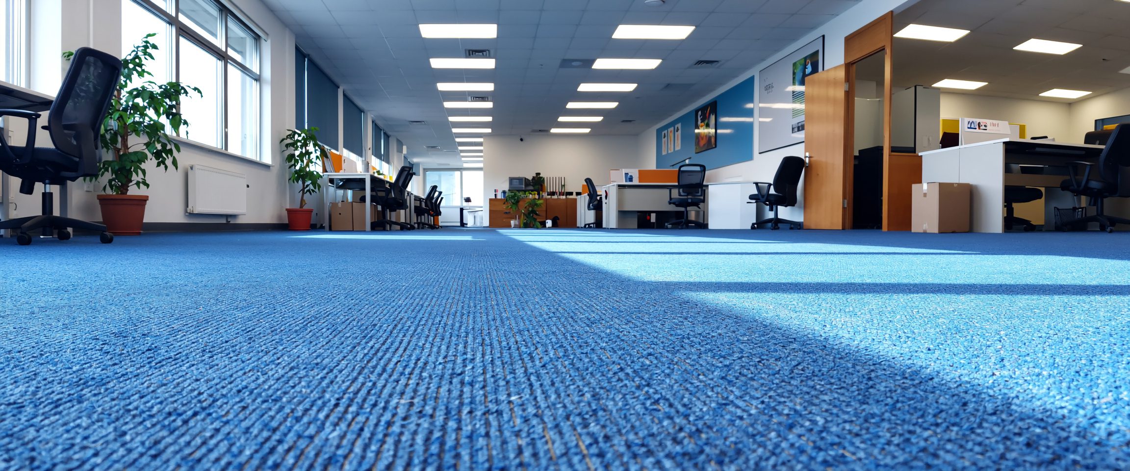 Commercial carpets professional cleaning for workplaces by Cleanzone